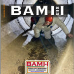 BAMI-I Journal 2022 Cover image