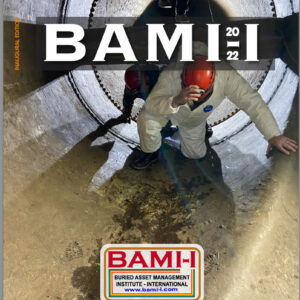 BAMI-I Journal 2022 Cover image
