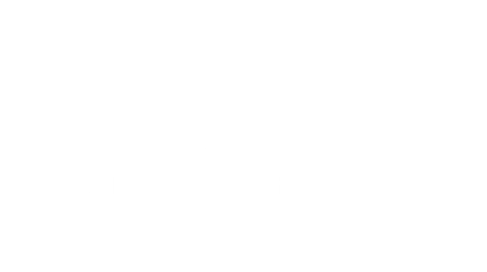 BAMI-I Logo in all white.