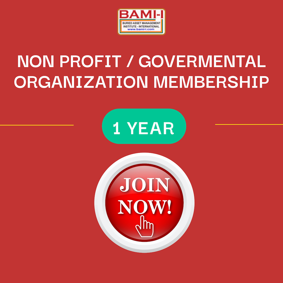 Nonprofit/Governmental One Year BAMI-I Membership